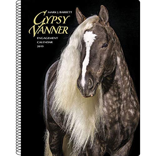Gypsy Vanner Horse 2019 Engagement Calendar