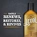 Lexol All Leather Cleaner for Car Interior, Couches and Furniture, Shoes and Boots, Purses and Handbags, Baseball Gloves and Horse Saddles, and More, 16.9 oz