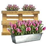 Bada Bing 12er Set Pflanzschale Zink für Palette Pflanzkasten Verzinktes Metall Blumenkasten Einsatz wetterfest Europalette Pflanztopf Kräutertopf Pflanzengefäß Deko Garten Trend 47