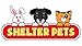 Shelter Pets Series One: Nibbles The Cat - 10