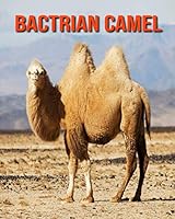 Bactrian Camel: Super Fun Facts And Amazing Pictures B08KHS25GY Book Cover