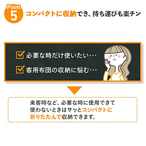 Amazon.co.jp: INTEX (インテックス) ピローレスト クラシック エアー