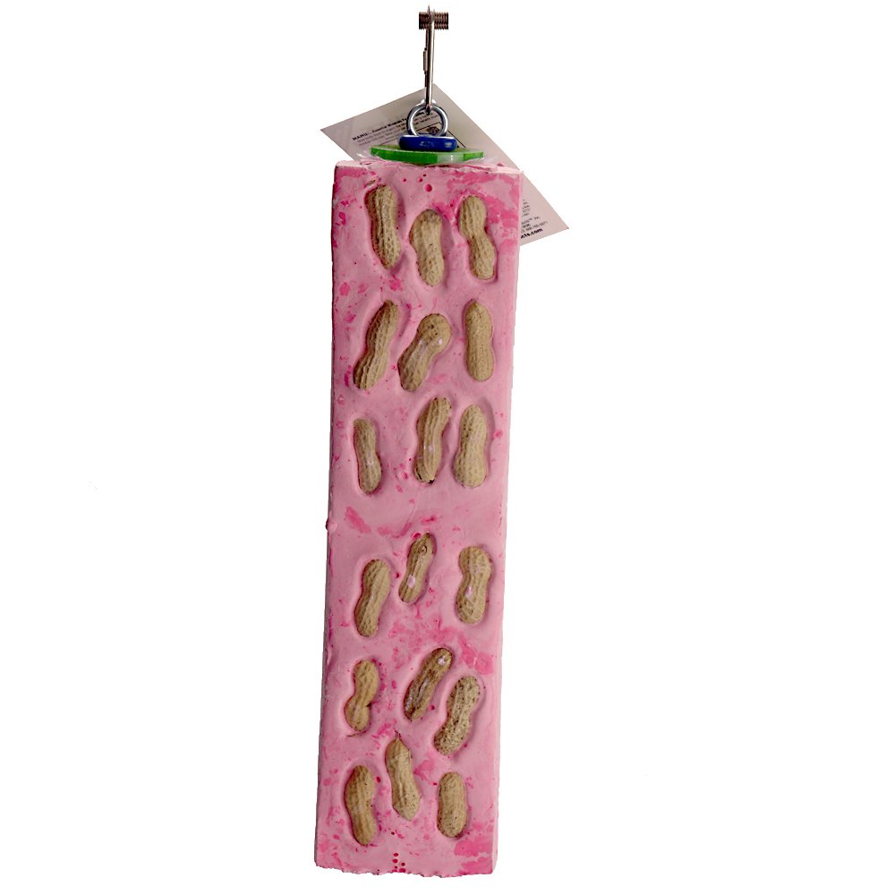 Polly's Nutty Log Cactus Snack Bird Chew Toy