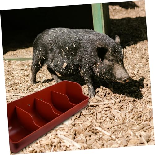 Mangeoire pour alimentation des porcs et chèvres à compartiments multiples