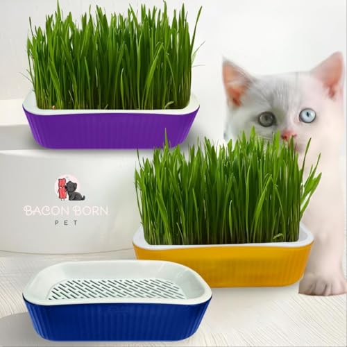 Kit Plante Grama Graminha Para Gatos Digestão Bola De Pelos (Verde)