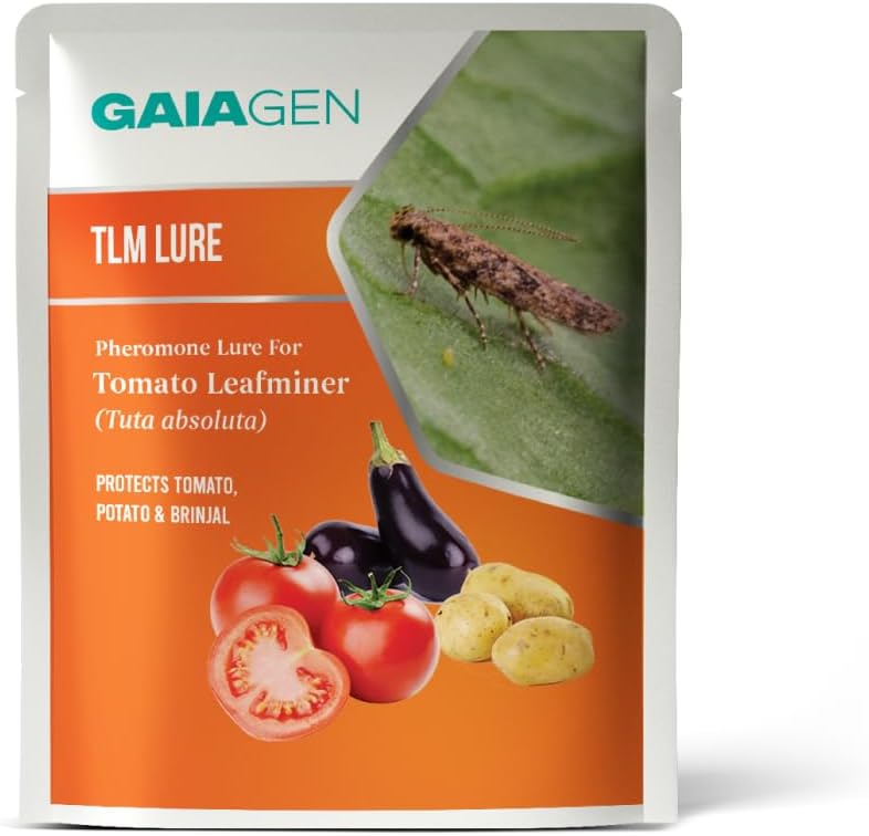 - Lures - Pheromone Lure for Tomato Leafminer (Tuta absoluta) | Pack of 10 | (Does not Include Traps)