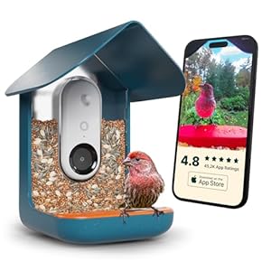 BIRD BUDDY® Original Smart Bird Feeder with Camera – AI Bird Species Identification, 5MP Photos, 2K HD+ Video Live Stream Camera, 2.8in Focus – Blue