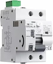 Auto Rearmable Differential Switch 2P 40A 30mA 6Ka. Automatic Rearme Differential Class AC Circuit Breaker with Automatic Reconnect AC Type RCCB