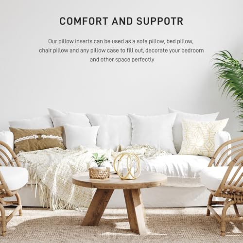image for Fixwal 2pack Pillow Inserts, 26x26 Inches White Polyester Indoor Decor