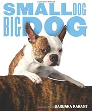 Small Dog, Big Dog