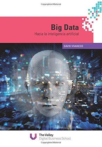 Big Data: Hacia la inteligencia artificial (Spanish Edition)