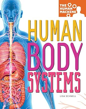 Human body systems