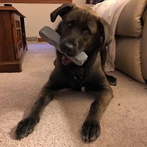 Indestructibone Extra Large Plus Chew Toy for Dogs 51-100 pounds