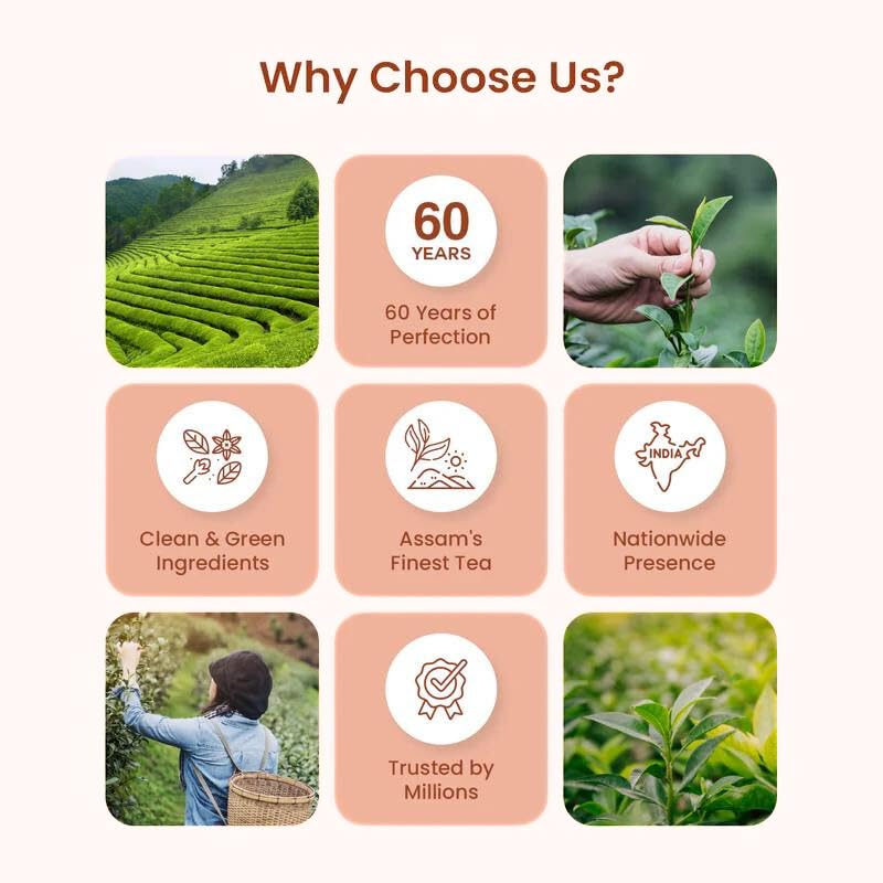 Image of APSARA Instant Tea Premix Unsweetened Masala Tea 10 Sachets | Ready To Drink Sugar Free Chai | Enriched with Ginger, Cardamom, Pepper, and Indian Spices, No Added Sugar Chai, On the Go Tea