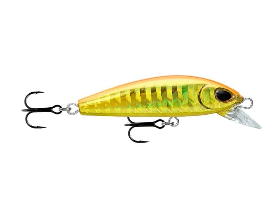 Amazon | Rapala(ラパラ) シャッド ストーム 五目デンス 4.8cm