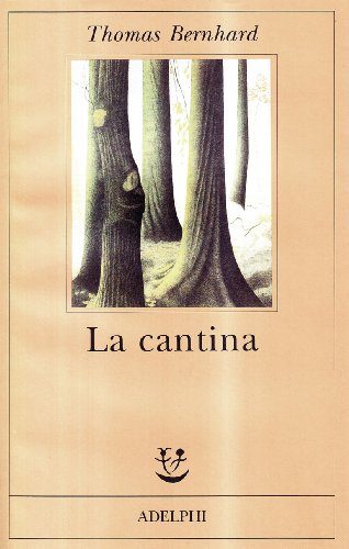  La cantina. Una via di scampo