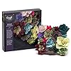 Craft Crush — Felt Succulents Craft Kit — Display Kit — Fun & Easy — Ages 13+, Small #5