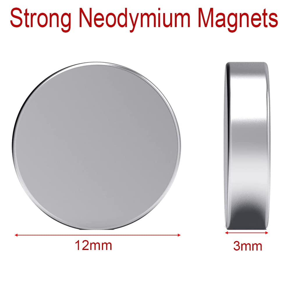 Gebildet 20 pezzi 3mm × 12mm Magneti Rotondi, Magneti da Ufficio, Magneti da Frigorifero Usati per la Creazione di Pannelli da Ufficio a Casa Artigianato Scientifico fai-da-te