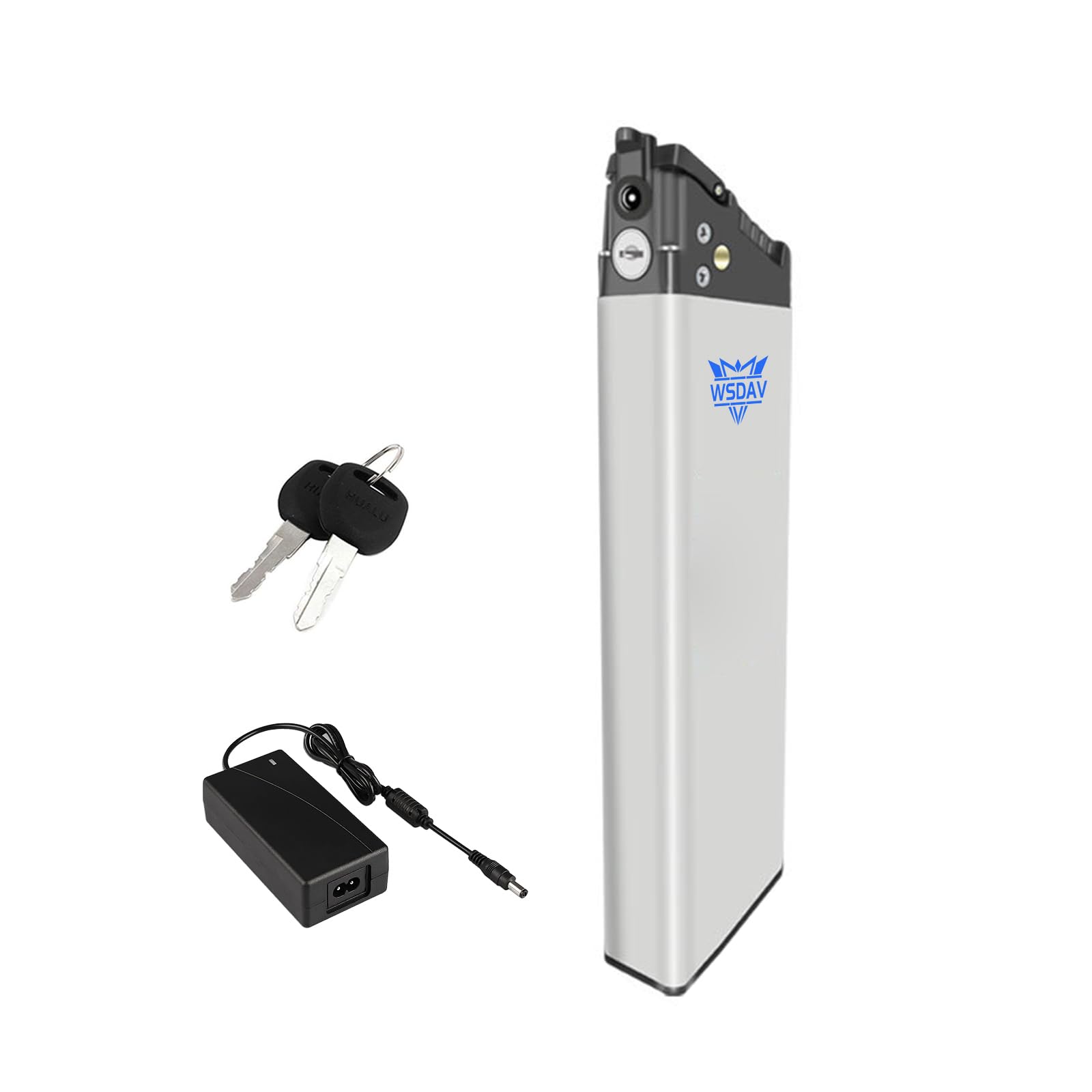WSDAV Folding Bicycle Battery 36V 8Ah 10Ah 12Ah 14Ah Inside Hidden Battery 48V 8Ah 10.4Ah Lithium Batteries with Charger,36V10Ah