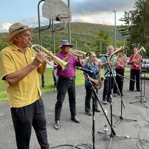 Chain of Wooded Mountains: Balkan Music in the Catskills Podcast Por  arte de portada