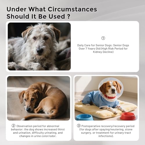 Health Monitoring Puppy Pee Pads - 5 Count, Use Code 3FUOWNNF - Image 6