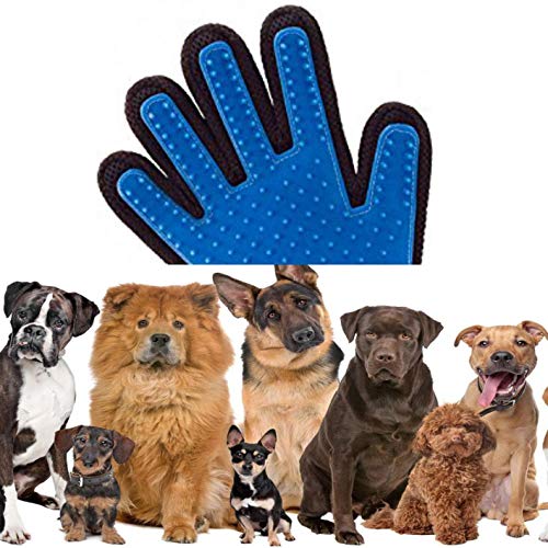 Pet-Grooming-Glove-and-Deshedding-Brush-Perfect-for-Cat-and-Dog-Short-and-Long-Hair-Gentle-Pet-Hair-Remover-Mitt-One-Size-Fits-All-260-Soft-Silicone-Tips-Right-Hand-Product-Name