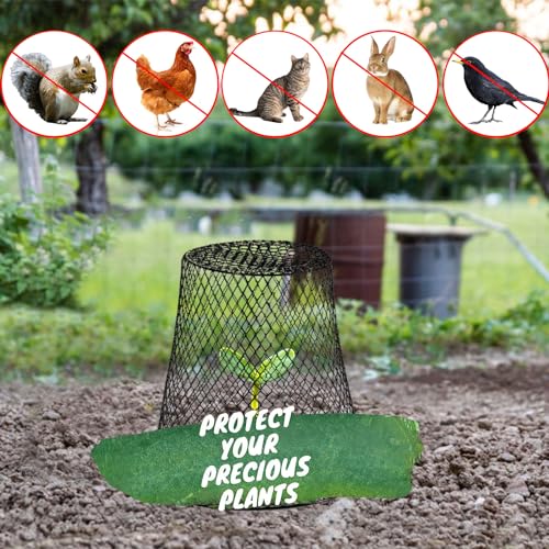 Garden Cloches for Plants, Sapbontchi Chicken Wire Plant Covers Plant Protectors from Animals Plant Protector Metal Plant Cages to Keep Rabbits Out Bunnies Chicken Squirrels Bird Out - Thumbnail 2