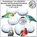 DummyEggs 6 Lovebird (Agapornis) Plastic Dummy Bird Eggs. Trick Your Bird to Stop Egg Laying & Brooding! Realistic Nontoxic 7/8