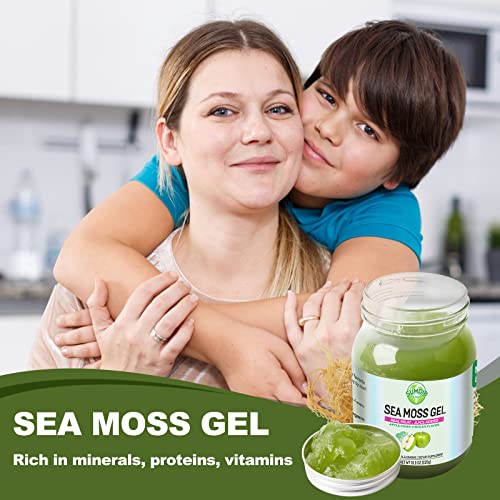 Sea Moss Gel, Flavored Organic Raw Irish Seamoss Gel Immune And Digestive Support Vitamin Mineral Antioxidant Supplements For Men Women Kids, Apple 18.5Oz #TOP5