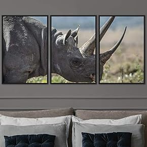 signwin 3 Piece Framed Canvas Wall Art Hippos...