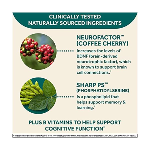 NEURIVA-Plus-Brain-Performance-30-Count-Brain-Support-Supplement-with-Clinically-Proven-Natural-Ingredients-1-ea-Pack-of-3 Neuriva Neuriva Original Brain Performance (90 Count), Brain Support Supplement, 90 Count