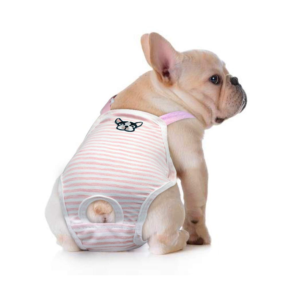 Aqueos Quick Dry Dog Shammy, One Size, Green