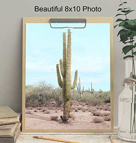 Saguaro Cactus, Desert Wall Art Decor - 8X10 Travel Poster For Bedroom, Living Room, Office, Bathroom - Gift For California, Arizona, Utah, New Mexico Nature Fan - Unframed Picture Photo Photograph #TOP2