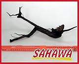 -vorgewässert und in Folie verpackt