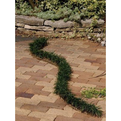 ^}E(ʗXbg)4{Zbg A c Ώh