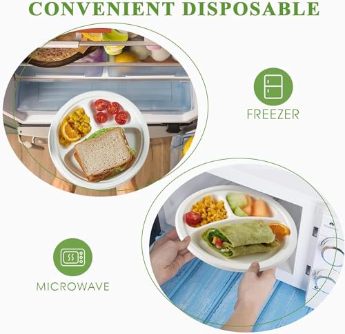 Image of Disposable Plates Bagasse | 10 inch 3-Compartment Round | 10 Pack | Disposable Plates Bagasse | Biodegradable | Sugarcane Paper Plates | Birthday & Party (10 inch, 10)