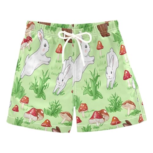 Boys Beach Shorts, Toddler Swimming Trunks 2t, Lawn Rabbit Green