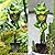LEGIFO Frog Figurine Garden Statue Outdoor Decoration Frog with Shovel Plant Decor Landscape Resin Sculpture Gift Art Accessories Animal Ornament for Yard Lawn Patio Outside Backyard Home Pots