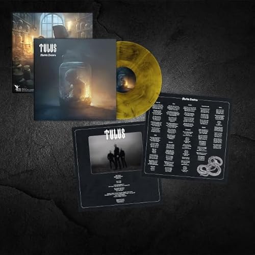 Album Art for Morbid Desires by Tulus