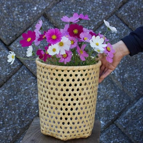 竹聲館ロングセラー フラワーポット