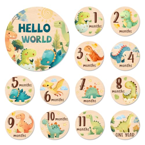 Image of Baby Monthly Milestone Cards Sign - 13Pcs Double Sided Dinosaur Milestone Cards, Dino Pattern Wooden Circles Discs for Photo Props Newborn Announcement Marker, Baby Shower Newborn Sign Card Gift Set