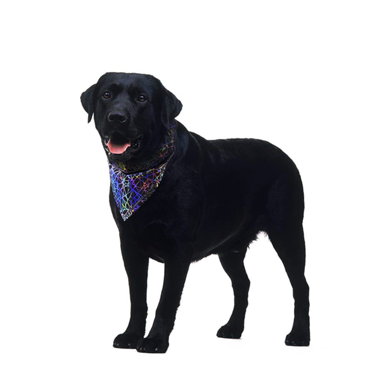 POPETPOP Loss of A Dog Gift Grey Pet Supplies Plush Pet Saliva Towel Pet Accessories Bibs The Dog Accessories Pet Saliva Towel Dog Bibs Animal Cage