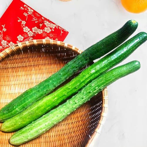 TomorrowSeeds - China Jade Burpless Cucumber Seeds - 100+ Count