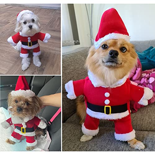 Disfraz de Santa Claus para perros y gatos, pequeño, rojo miniatura 5