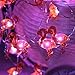 ER CHEN Newest 40 LED Flamingo,10Ft Long Indoor&Outdoor Waterproof Battery Operated Silver Wire String Lights with Remote&Timer