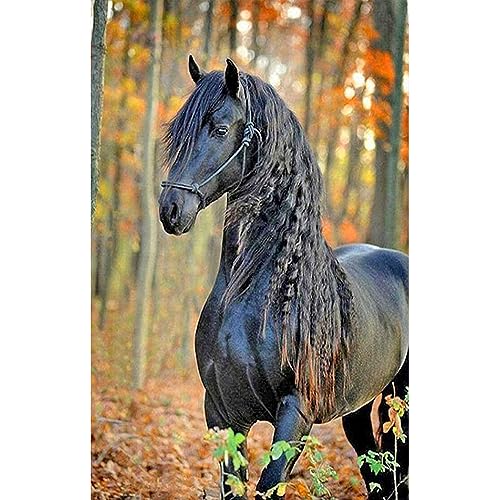 DCIDBEI Square Diamond Painting Pietre Quadrate