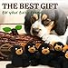 Laifug Hidden Bear Plush Dog Toy, Interactive Barking Dog Toy Playing Hide and Seek, Five in One Bear, Plush Puzzle, Suitable for Dogs of All Stages (Brown, XL)