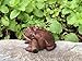 2.3-2.5 Inch Thai Classic Handmade Percussion Instruments Wooden Frog Wooden Frog Musical Instrument (Dark Brown 2.5 