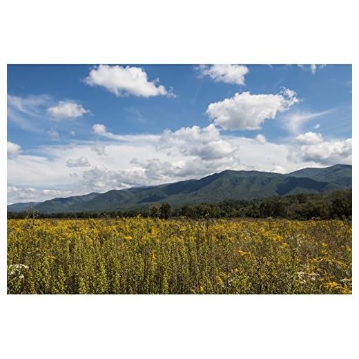 Sigma 18-35mm F/1.8 Lens for Canon