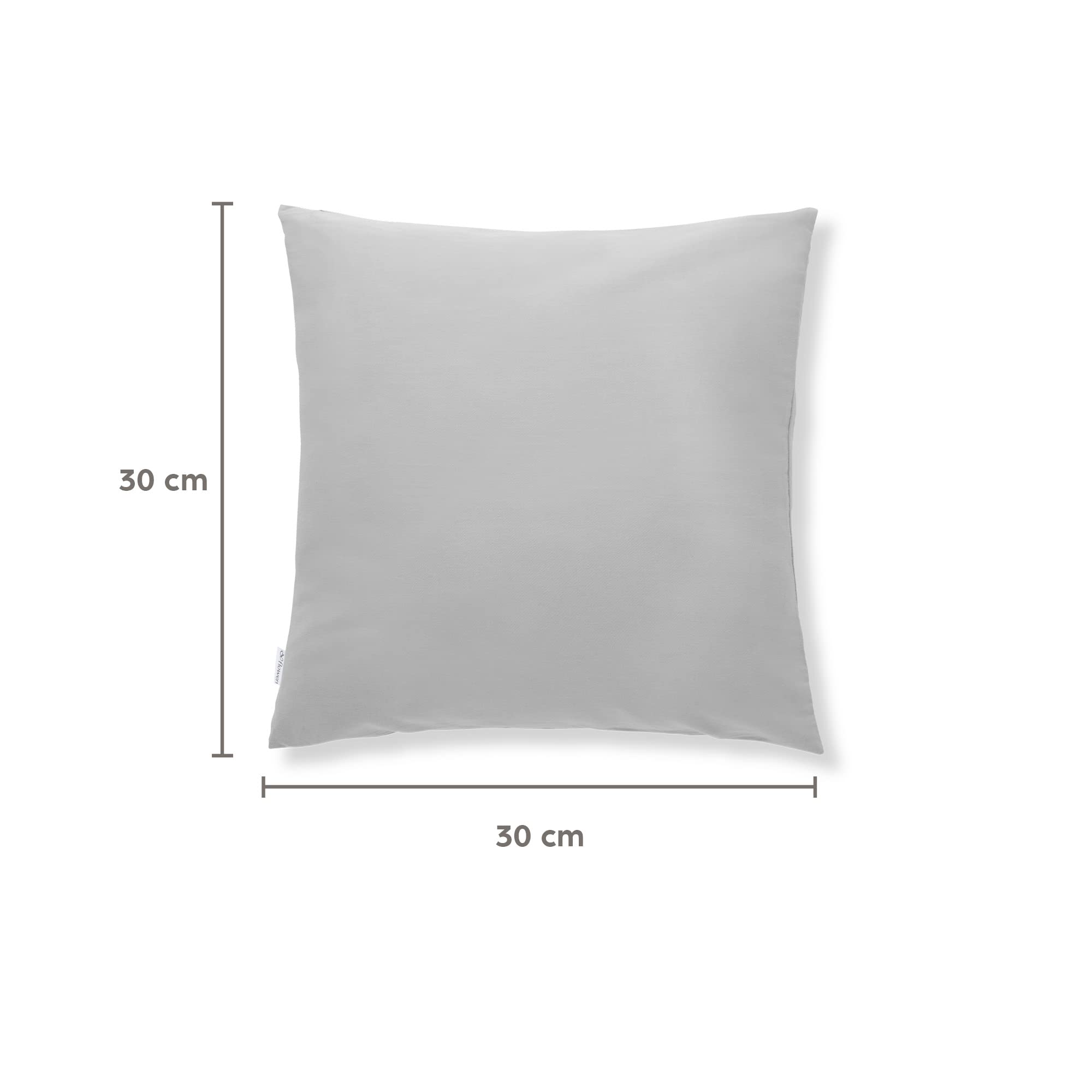 Flowen Federe Cuscini Divano 30x30 Set da 2 Copricuscini Decorativi 100% Cotone Effetto Seta Tessuto Morbido Anallergico Antiacaro e Traspirante Fodere con Cerniera Nascosta Lavabili in Lavatrice